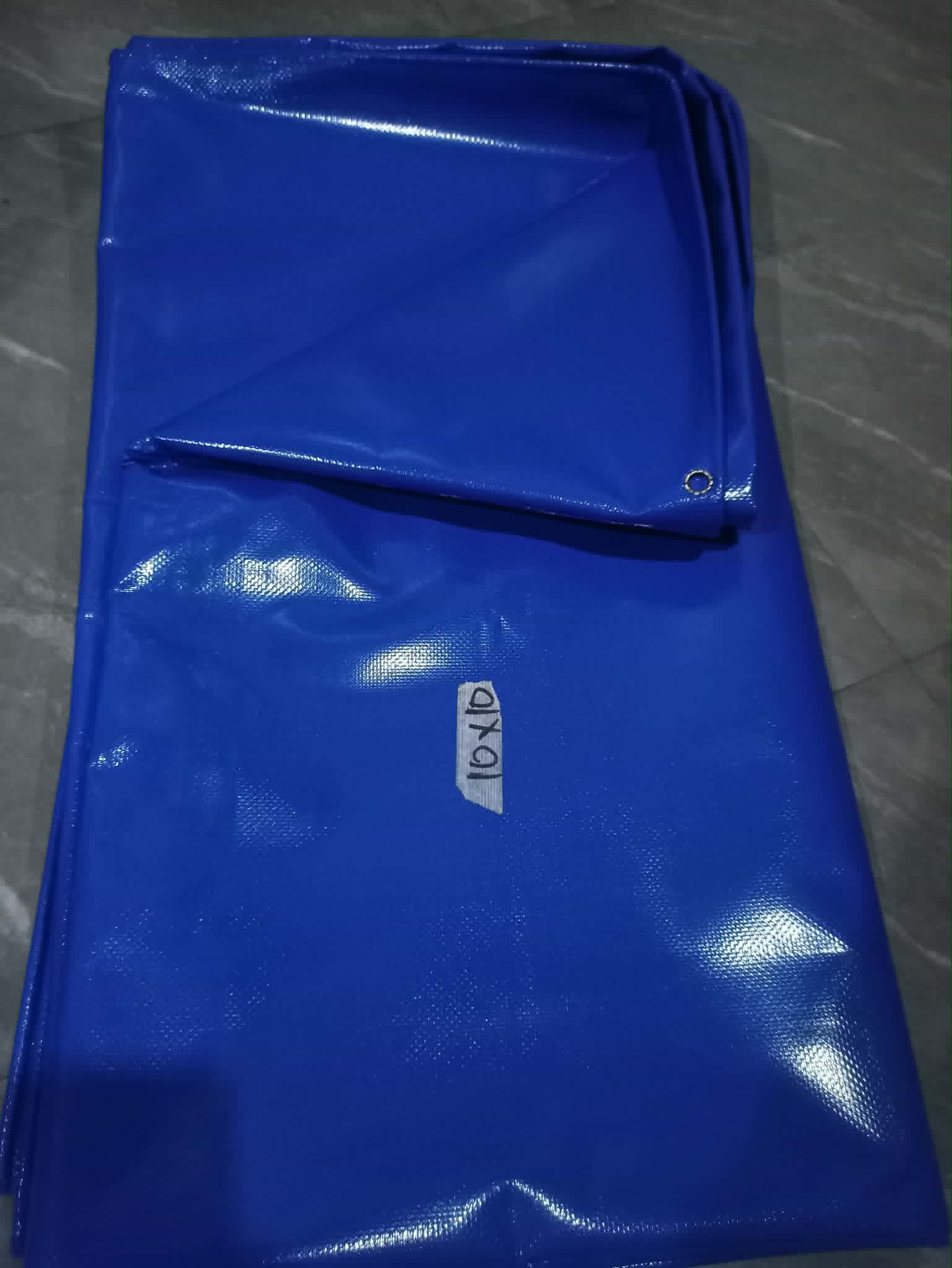Blue Canopy Tarp